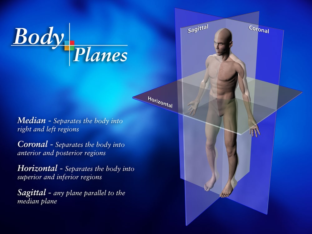 Understanding the Three Planes of Motion
